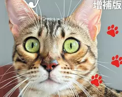 科學雜誌因應《貓之日》推出特別號 被質疑公司高層濫用職權曬愛貓？