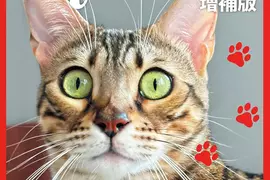 科學雜誌因應《貓之日》推出特別號 被質疑公司高層濫用職權曬愛貓？