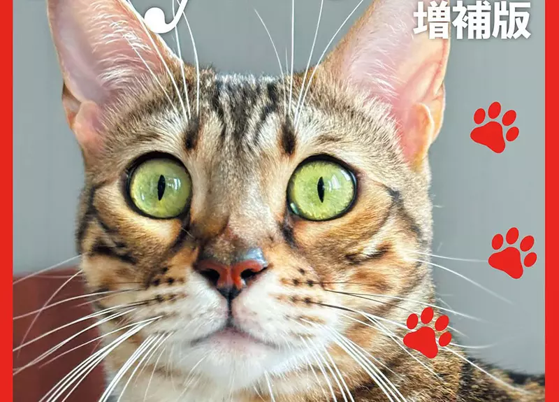 科學雜誌因應《貓之日》推出特別號 被質疑公司高層濫用職權曬愛貓？