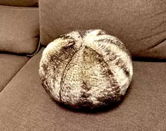 《家中不能養貓怎麼辦》他買了這個坐墊當作替代品 卻被網友嘲笑是馬糞海膽