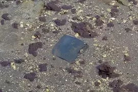 躺在河底好幾年的《野生PS3》曾幾何時成了廣島吳市的觀光景點？