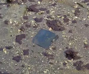 躺在河底好幾年的《野生PS3》曾幾何時成了廣島吳市的觀光景點？