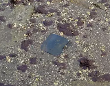 躺在河底好幾年的《野生PS3》曾幾何時成了廣島吳市的觀光景點？