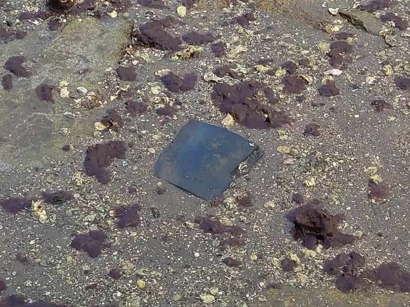 躺在河底好幾年的《野生PS3》曾幾何時成了廣島吳市的觀光景點？