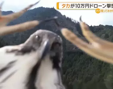 打算用無人機拍瀑布景象的網友 想不到10萬塊的機器竟然被一隻老鷹擊墜，但卻錄下了非常珍貴的畫面