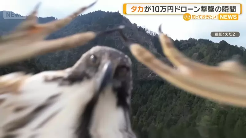 打算用無人機拍瀑布景象的網友 想不到10萬塊的機器竟然被一隻老鷹擊墜，但卻錄下了非常珍貴的畫面