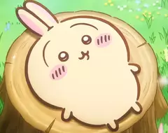 劇場版《吉伊卡哇 人魚島的秘密》首波預告公開，電影定檔將於7月31號上映