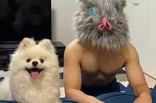 健腹輪推主開啟第二季訓練 為了更接近「嘴平伊之助」的結實體格，打算增重再訓練