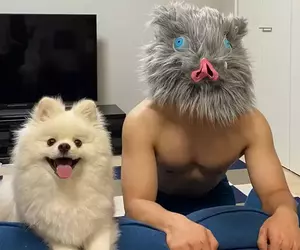 健腹輪推主開啟第二季訓練 為了更接近「嘴平伊之助」的結實體格，打算增重再訓練