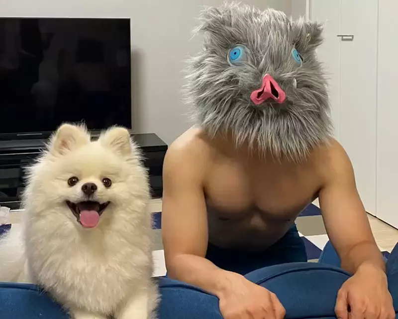 健腹輪推主開啟第二季訓練 為了更接近「嘴平伊之助」的結實體格，打算增重再訓練