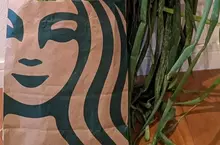 用星巴克紙袋裝蔥的奇妙光景 這要是流行起來可能會引起一波社群風潮喔！？