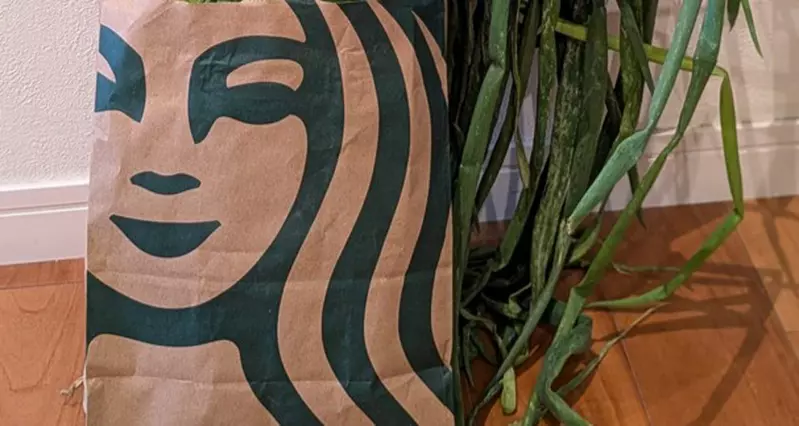 用星巴克紙袋裝蔥的奇妙光景 這要是流行起來可能會引起一波社群風潮喔！？