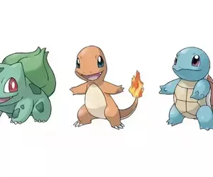 《寶可夢初代御三家》為什麼不是設定成貓狗？會不會太刻意唱反調了呢？