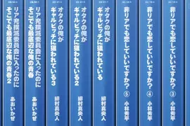 《輕小說有陰陽之分》你覺得哪些作品是陰？哪些作品是陽呢？