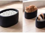 日本設計師「石川和也」最新發想!超療癒《軍艦卷貓咪床》不過這要是黑貓上去不就黑壓壓一片了嗎? 日本設計師「石川和也」最新發想!超療癒《軍艦卷貓咪床》不過這要是黑貓上去不就黑壓壓一片了嗎?