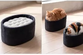 日本設計師「石川和也」最新發想！超療癒《軍艦卷貓咪床》不過這要是黑貓上去不就黑壓壓一片了嗎？