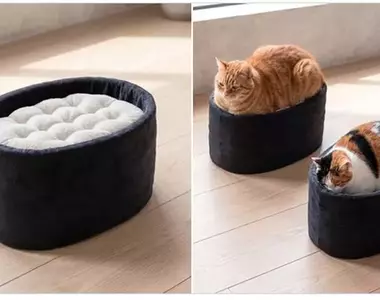 日本設計師「石川和也」最新發想！超療癒《軍艦卷貓咪床》不過這要是黑貓上去不就黑壓壓一片了嗎？