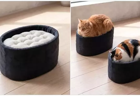 日本設計師「石川和也」最新發想！超療癒《軍艦卷貓咪床》不過這要是黑貓上去不就黑壓壓一片了嗎？