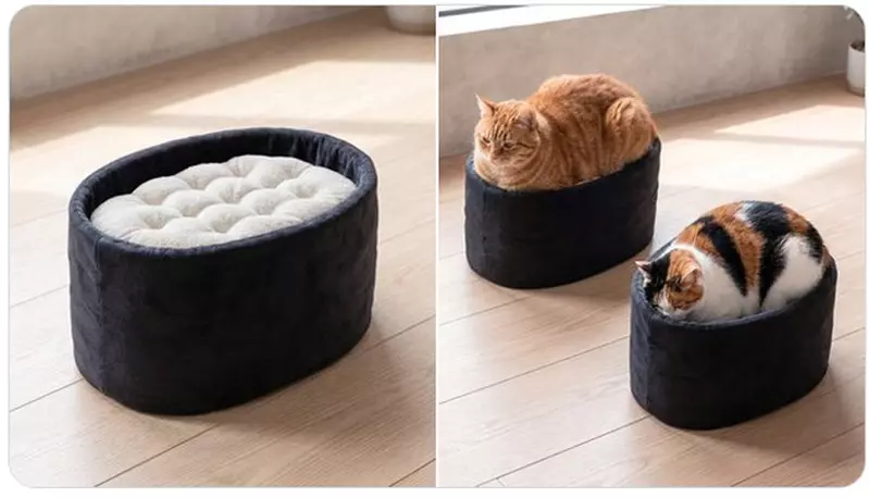 日本設計師「石川和也」最新發想！超療癒《軍艦卷貓咪床》不過這要是黑貓上去不就黑壓壓一片了嗎？