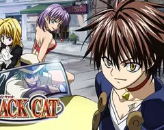 日本網友覺得矢吹健太朗的《黑貓》如果放到現在連載應該會爆紅