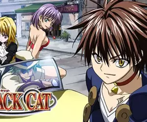 日本網友覺得矢吹健太朗的《黑貓》如果放到現在連載應該會爆紅