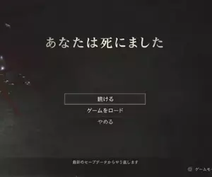 《電玩譯者的辛酸》有些地方明明不要翻譯比較好 但國外公司卻堅持非翻不可？