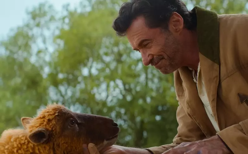 休傑克曼《綿羊偵探團》2026最可愛電影 神探羊咩咩降臨