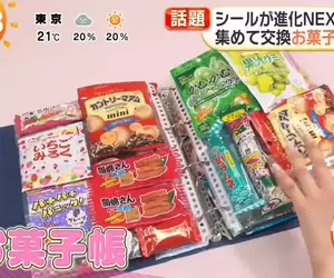 日本年輕人瘋玩《零食收集冊》比收集貼紙樂趣更多更便宜
