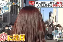 髮型師解說《日本新鮮人流行染紅髮的理由》室內室外都能發揮不同的優點