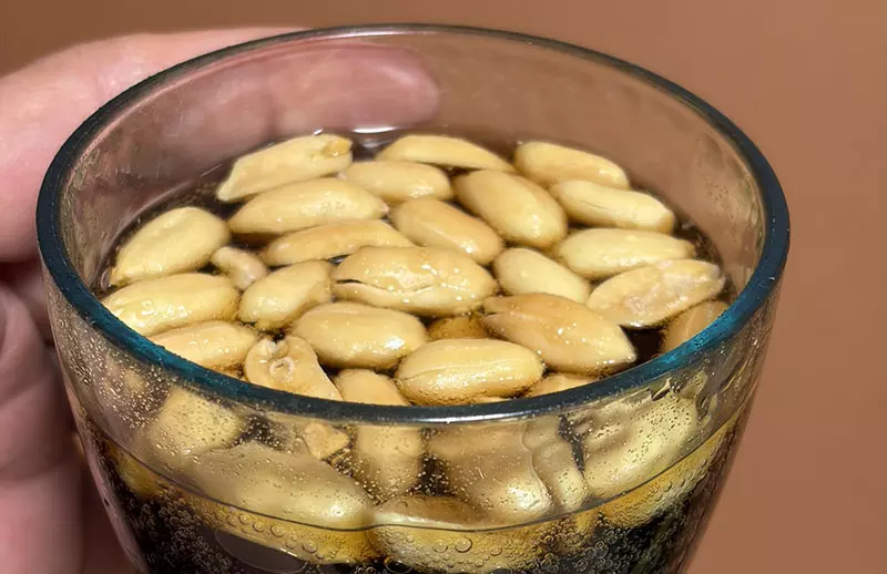 日本網友瘋喝《花生＋可樂＝農夫可樂》美國眾議員都親自拍片教學了