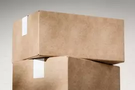 網路購物小驚喜 因為賣家沒有泡泡紙了所以改用了一種意想不到的道具當緩衝材料