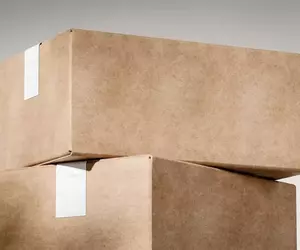 網路購物小驚喜 因為賣家沒有泡泡紙了所以改用了一種意想不到的道具當緩衝材料