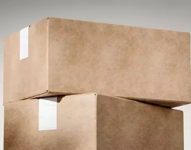 網路購物小驚喜 因為賣家沒有泡泡紙了所以改用了一種意想不到的道具當緩衝材料