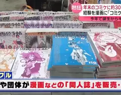 《美國的同人展文化》為什麼不發達 因為物流效率和費用都遠輸給日本？