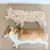 柯基犬飼主的心情反饋，如果你努力勤奮的刷毛，那麼回報你的就是家裡多出一條狗