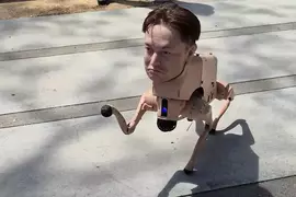 出現在舊金山市區的《伊隆狗》引起話題，其實這是一件科技與藝術結合的裝置藝術作品