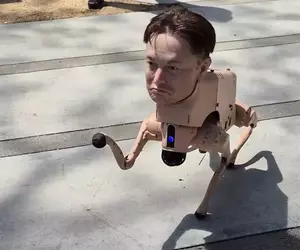 出現在舊金山市區的《伊隆狗》引起話題，其實這是一件科技與藝術結合的裝置藝術作品