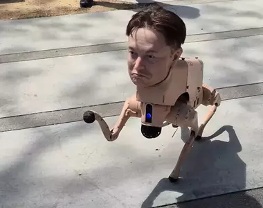 出現在舊金山市區的《伊隆狗》引起話題，其實這是一件科技與藝術結合的裝置藝術作品