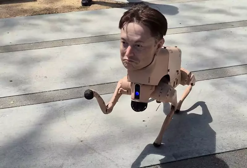 出現在舊金山市區的《伊隆狗》引起話題，其實這是一件科技與藝術結合的裝置藝術作品