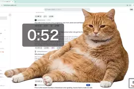 網友開發防沉迷插件《Cat Gatekeeper》上網上太久貓貓就會出現霸佔你的螢幕