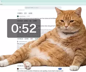 網友開發防沉迷插件《Cat Gatekeeper》上網上太久貓貓就會出現霸佔你的螢幕