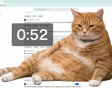 網友開發防沉迷插件《Cat Gatekeeper》上網上太久貓貓就會出現霸佔你的螢幕