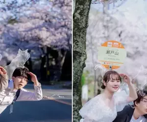 攝影師分享《在以前跟女友拍照的地方跟老婆拍照》被網友痛罵太沒品了……