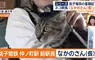 銚子電鐵《新貓咪站長上任》該不該拿掉名字裡的（暫定）成了下一個議題