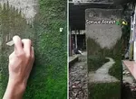 透過刮擦苔蘚來創作風景畫 不是高壓水槍而是透過刀片去一刀刀刻劃出藝術的深度 透過刮擦苔蘚來創作風景畫 不是高壓水槍而是透過刀片去一刀刀刻劃出藝術的深度