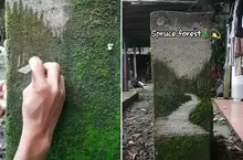 透過刮擦苔蘚來創作風景畫 不是高壓水槍而是透過刀片去一刀刀刻劃出藝術的深度