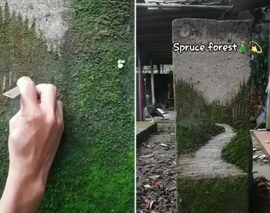透過刮擦苔蘚來創作風景畫 不是高壓水槍而是透過刀片去一刀刀刻劃出藝術的深度