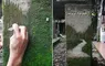 透過刮擦苔蘚來創作風景畫 不是高壓水槍而是透過刀片去一刀刀刻劃出藝術的深度