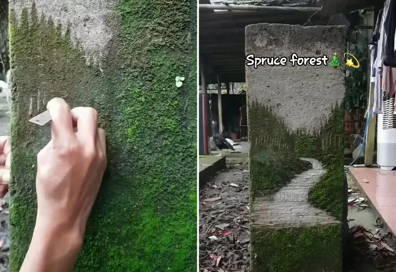 透過刮擦苔蘚來創作風景畫 不是高壓水槍而是透過刀片去一刀刀刻劃出藝術的深度