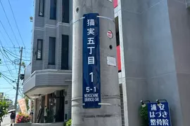 貓奴們想要住在《名字有貓字的地區》日本各地其實存在這麼多